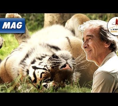 L'Esprit Sorcier : Le mag - Les grands félins