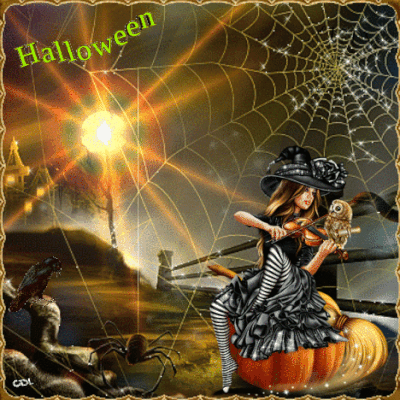 Halloween - Sorcière - Citrouille - Toile d'araignée - Gif animé - Scintillant - Gratuit