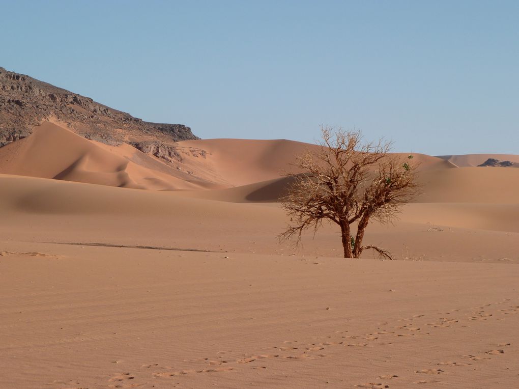 TREK D'UNE SEMAINE DANS LE MASSIF DE LA TADRART - DEFILEMENT DES COULEURS - SAHARA ALGERIEN - SUD EST (NOVEMBRE 2010)