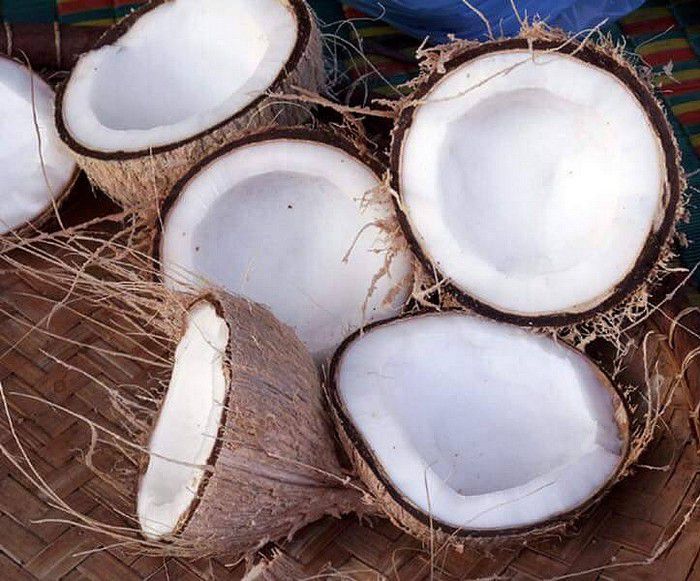 Aperçu des noix de coco fraiche.