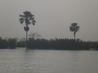 En Basse Casamance