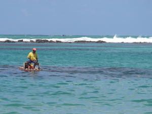 Album - porto de galinhas