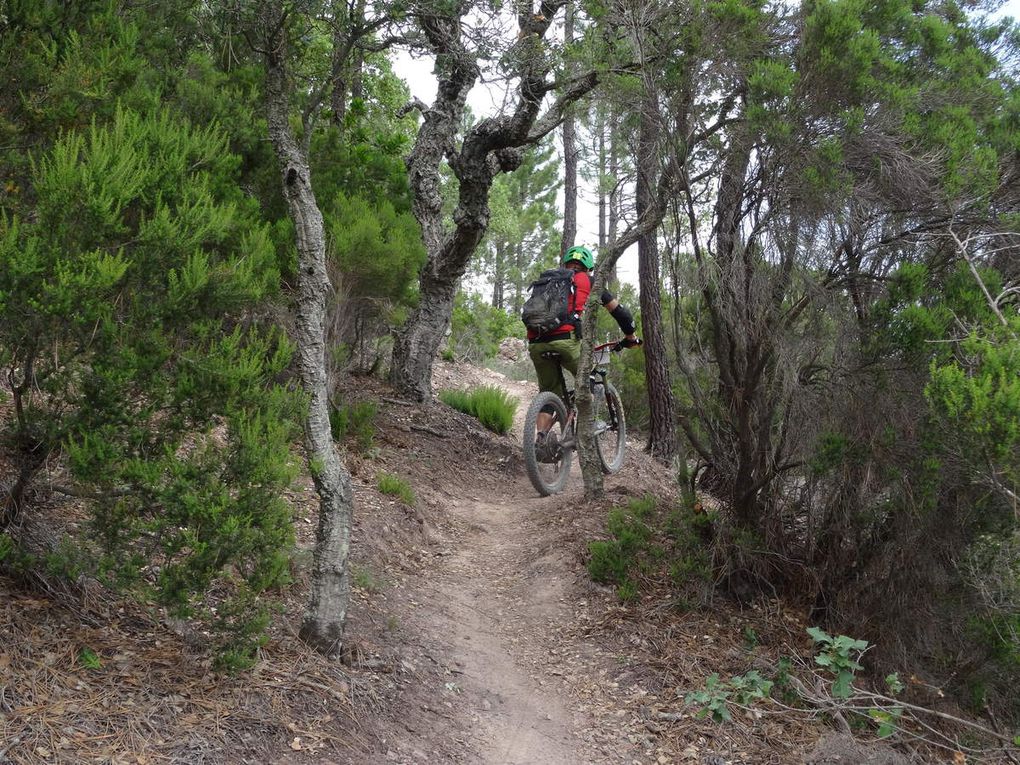 La Picho'Bike au départ de Bagnols-en-Forêt (83) le 03/06/2018