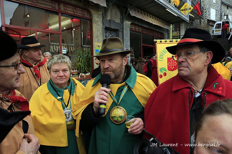 Journée du 17 mars 2013