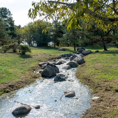 Réserve écologique des Barails à Bordeaux en Gironde