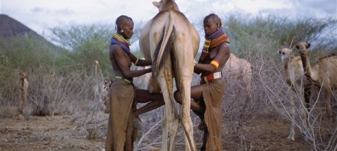 Analyse: Arrêter la transmission des maladies entre les humains et les animaux