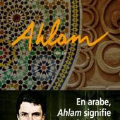Ahlam, roman du Magistrat Marc Trévidic. - LeBlogTvNews