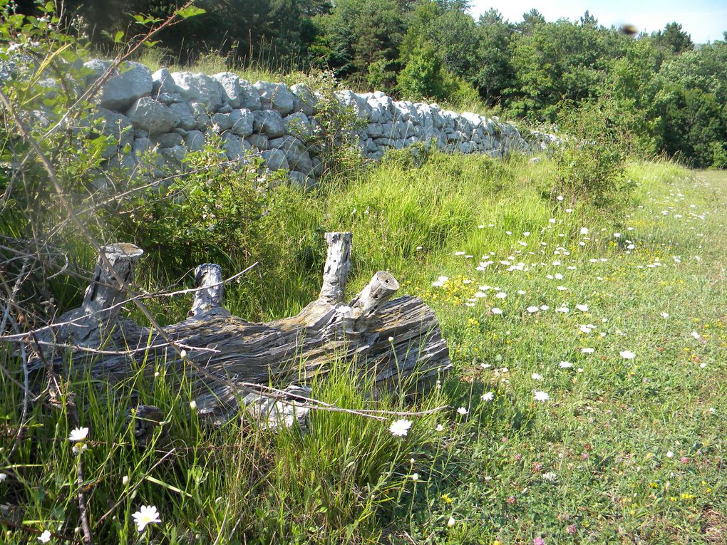 Le sentier de Nans