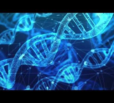 Archange MICKAËL / Canalisations de Ronna HERMAN & d'Auréa - 19/10/2020.