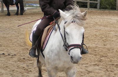 Delphine et Shelby, dimanche 11 octobre 2009.