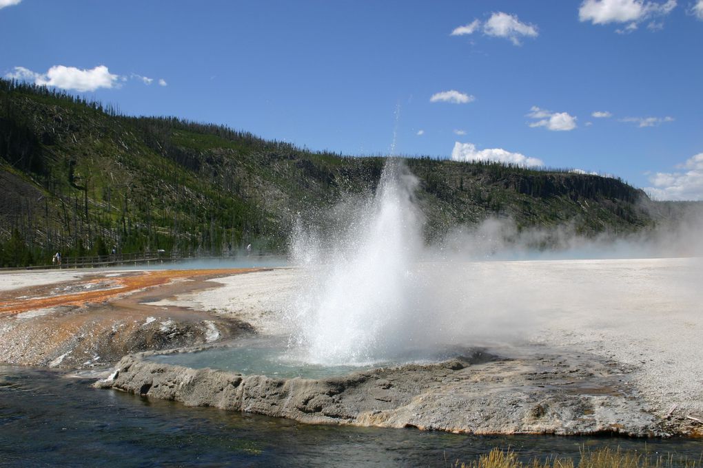 Album - Yellowstone NP, 2004