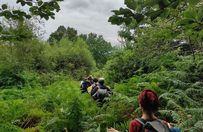 Les femmes, la liberté et la nature. Retraite 8 au 12 juillet réservée aux femmes