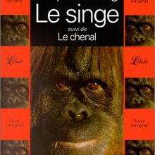 Le singe, suivi de Le chenal, de Stephen King (465)