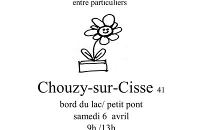 🌼TROC PLANTES 2024 à CHOUZY 🌼