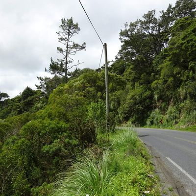 Neuseeland - Papakura - Tage 1 bis 3