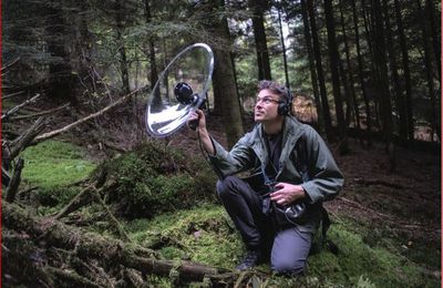 Dans la forêt des Vosges, nous avons écouté la symphonie de la nuit