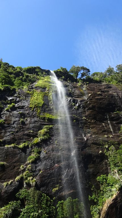 Milford Sounds