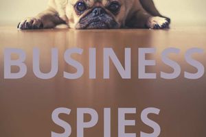 How spying in business can make or mar your business