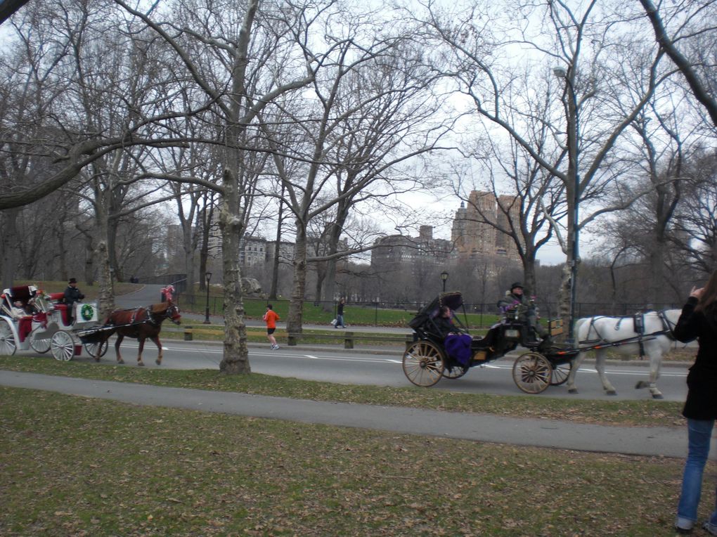 un aperçu de mon séjour à New-York en décembre 2011