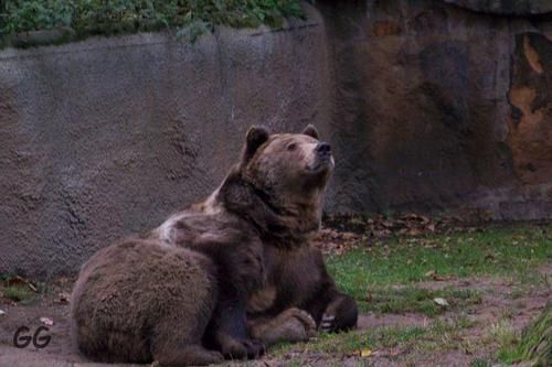 Zoobesuche im Januar