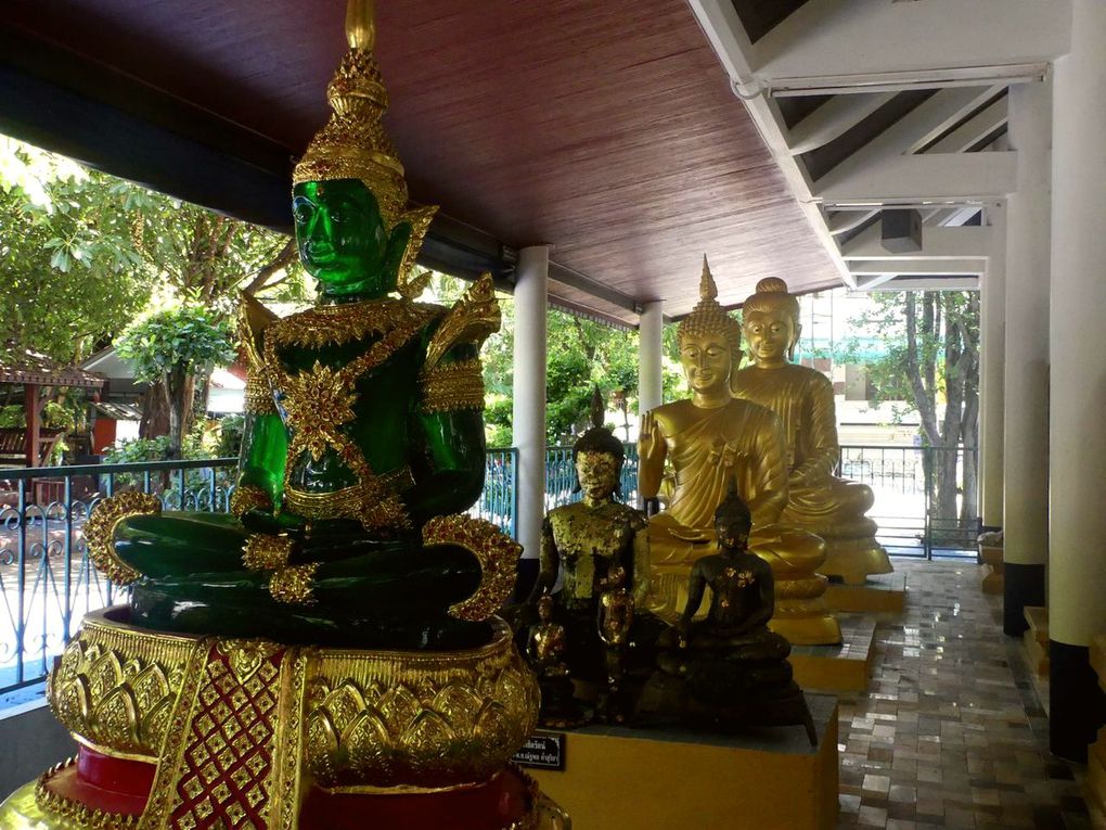 Les chauves-souris du Wat Pho Bang Khla