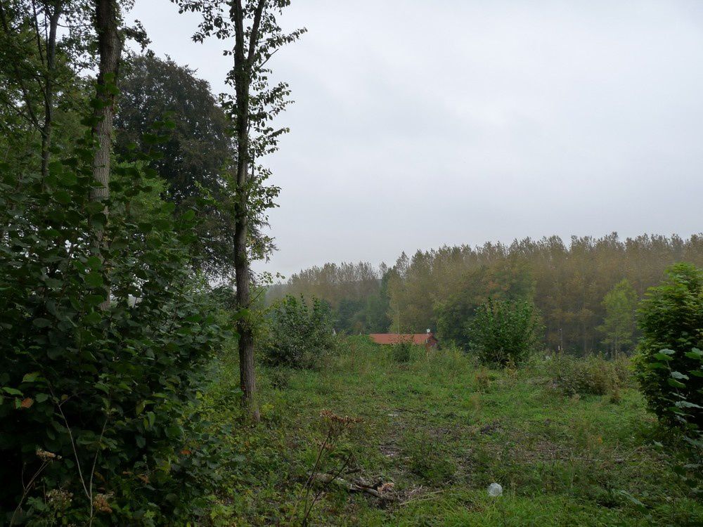 Album - Terrain et lotissement