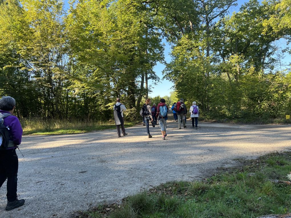 Randonnée de Beynes à Orgerus - 20 km.