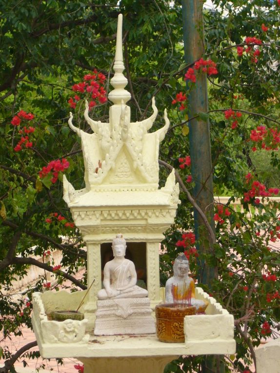 Une visite dans Phnom Penh, remarquable capitale du Cambodge. Au hasard des rues et des rencontres, j'ai photographié des lieux, des monuments et des personnes (avec leur autorisation toujours), des temples et des Bouddhas, la nature exubérante sou