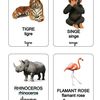Nomenclature ; animaux du zoo