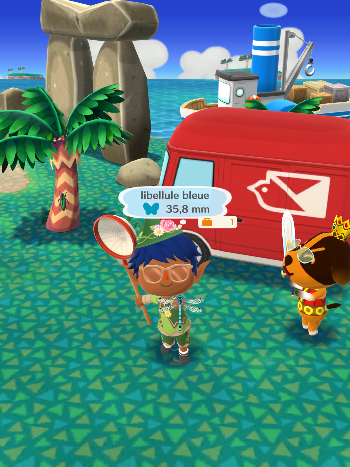 Défis libellules bleues Pocket Camp Complete animalcrossing-3ds.over-blog.com