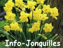 Annulation et report Rando Jonquilles du 9 janvier 2025