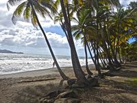 GUADELOUPE (Basse Terre et Terre de Haut) 🇬🇵🇫🇷