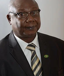  "Wagner, en Centrafrique, une tragédie africaine" / par Martin ZIGELE - I-Dialogos