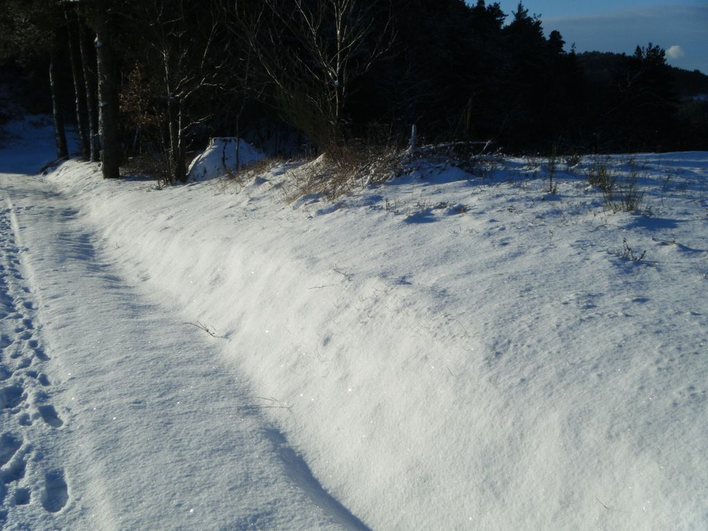 Une petite balade ce matin-là avec 5-6 cm de neige le soleil commencer a sortir ...