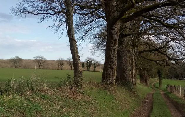 Promenade aux prémices du printemps