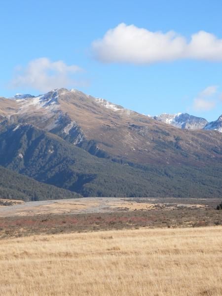 C'est la région la plus grande de l'île du Sud par sa taille et son nombre d'habitants.
Le climat y est plus sec et plus ensolleillé. 

Villes principales:

- Christchurch
- Kaikoura
- Arthur's pass
- Hamner spring