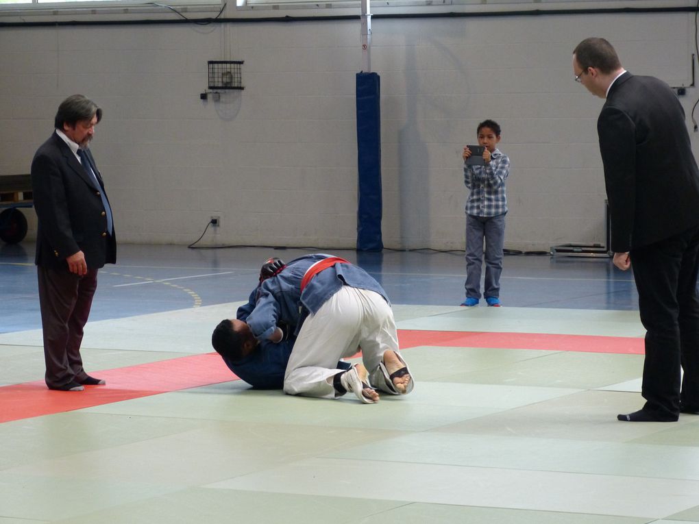 1ere partie des photos de la compétition de Nihon Budo du 10 mai 2015 au gymnase des droits de l'Homme à Guyancourt.