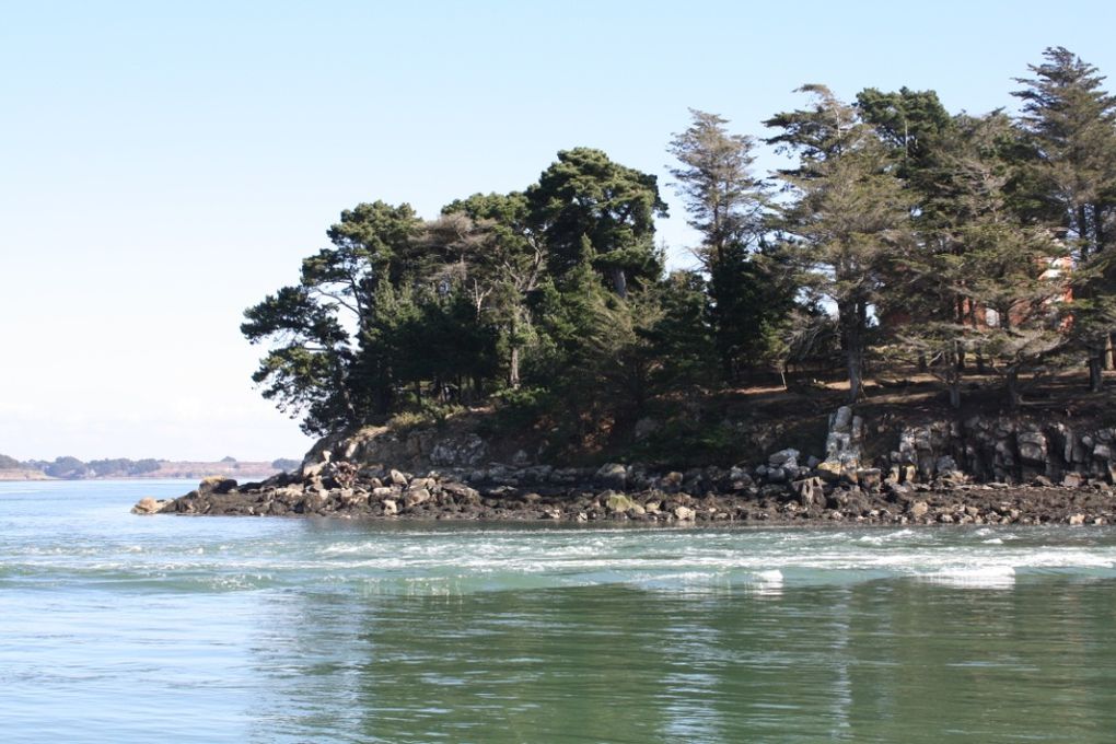 Photos du Tour du Golfe en bateau et de l'arrêt sur l'Ile aux Moines; lundi 15 mars 2010.