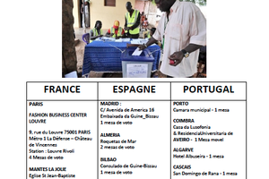 ELECTIONS PRESIDENTIELLES ET LEGISLATIVES DU DIMANCHE 13 AVRIL 2014 EN GUINEE-BISSAU