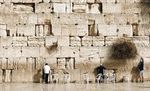 Vous ne lirez cela nulle part : Des siècles de soutien chrétien au sionisme