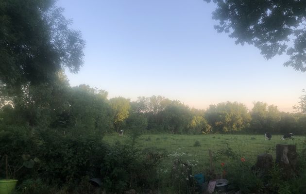 Chez cath