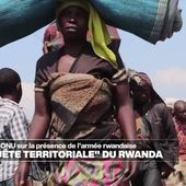 Journal de l'Afrique - RD Congo : la "conquête territoriale" de l'armée rwandaise documentée par l'ONU