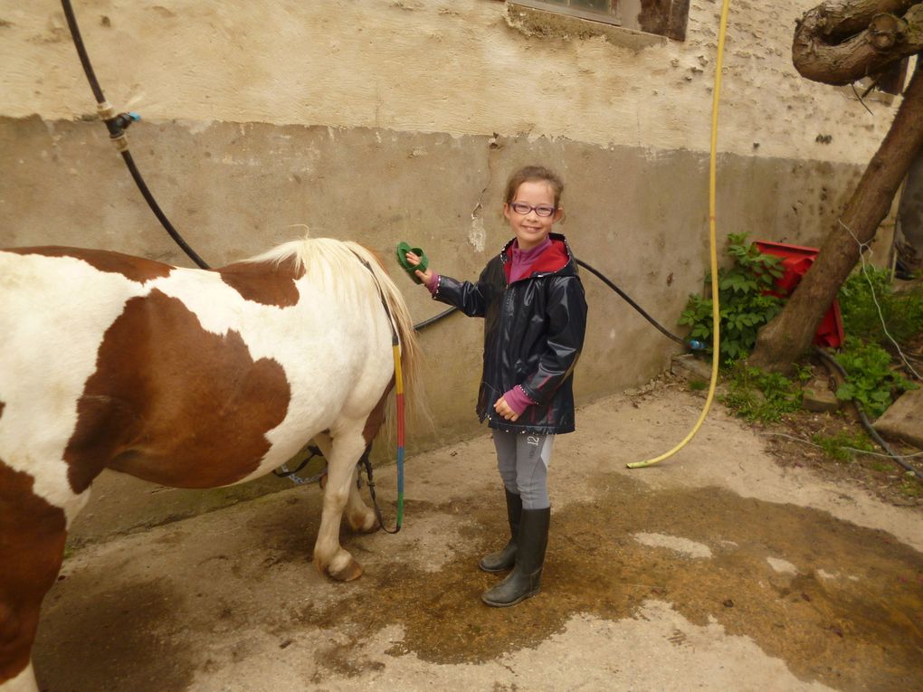 Sortie scolaire CE2-CM1-CM2