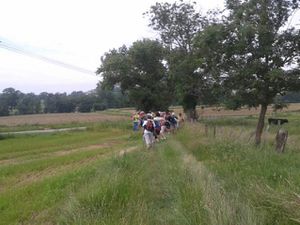 DIMANCHE 3 JUIN 2018 - PIQUE-NIQUE AU BORD DE L'ETANG DE SAINT-MICHEL-SUR-RHONE 