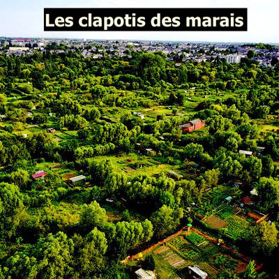 Les marais au fil des coulants, les assises ...