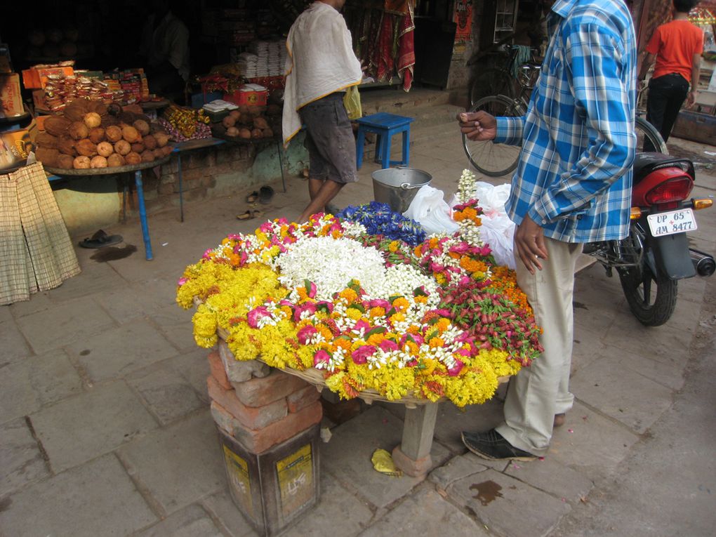 Album - Inde, Varanasi