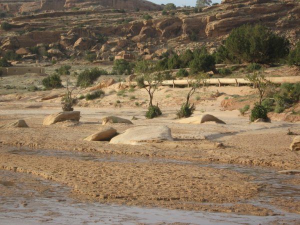 PHOTOS D'EL GHICHA (AFLOU-Laghouat)