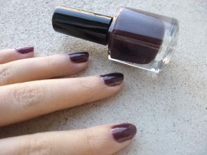 Mon vernis de l'automne