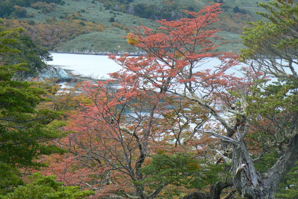 Album - Ushuaia-El-Calafate