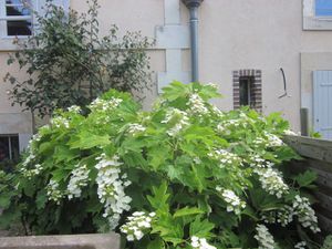 Une visite dans les marais 